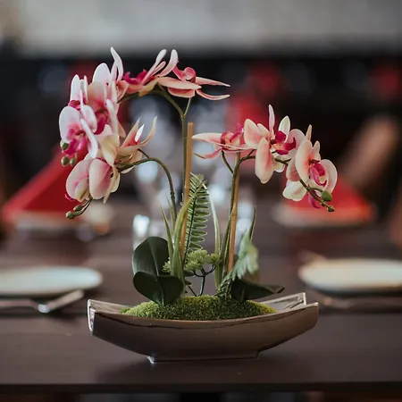 Lindenhof إركلنتس